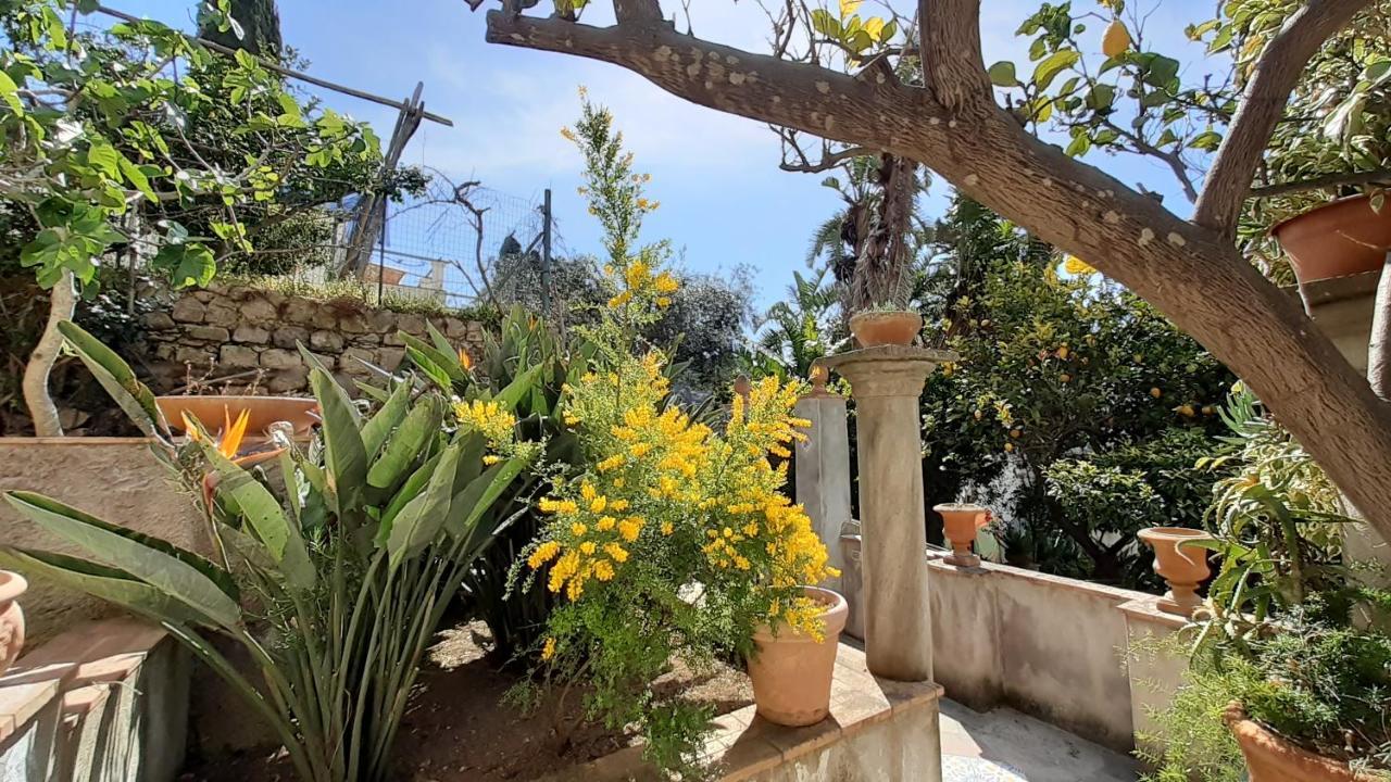 Villa Dorothee กาปรี ภายนอก รูปภาพ