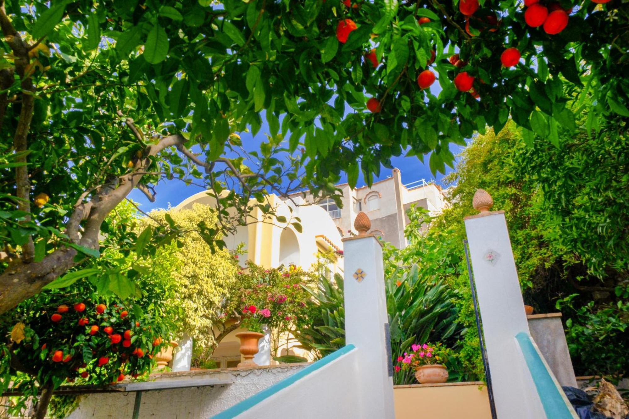 Villa Dorothee กาปรี ภายนอก รูปภาพ