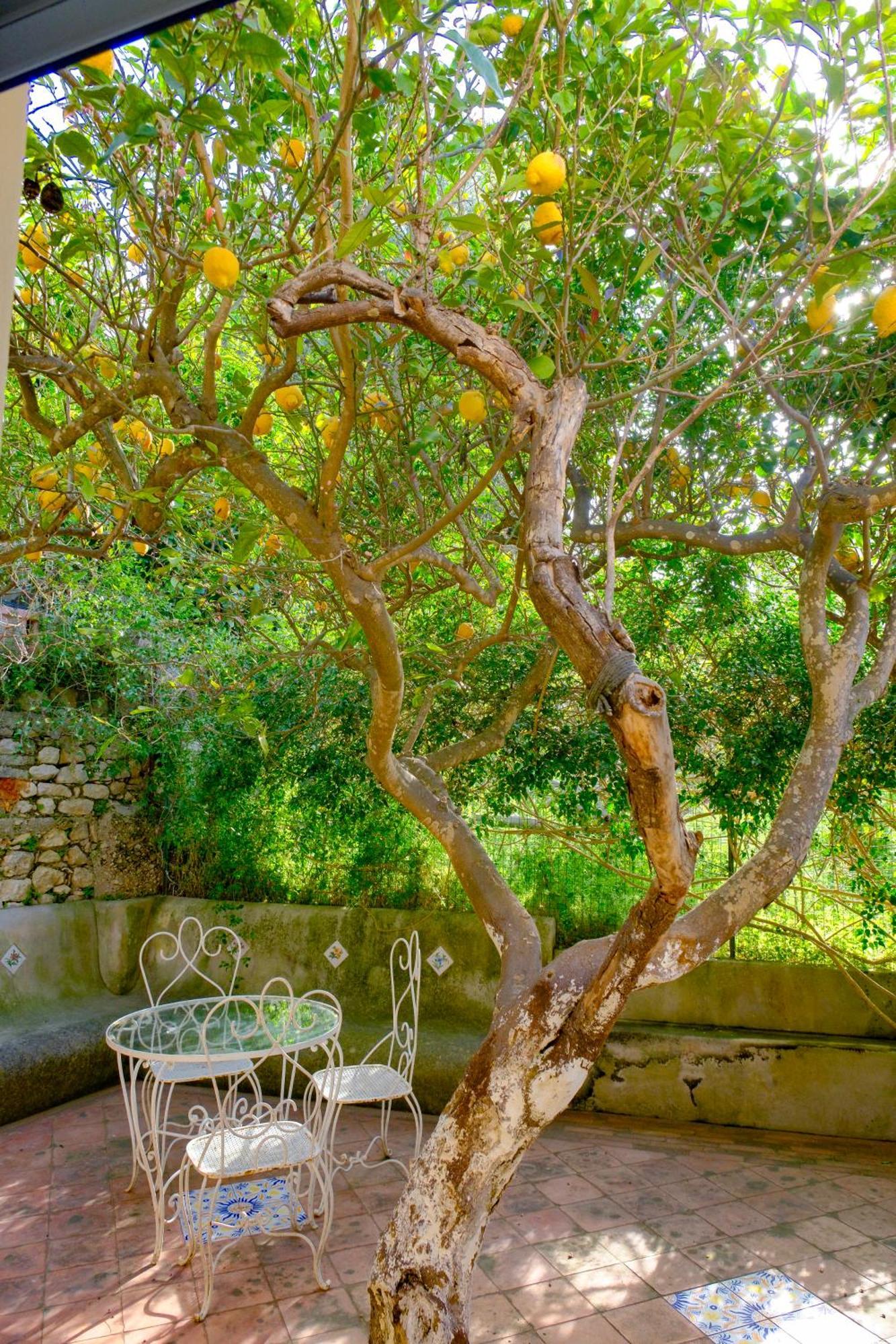 Villa Dorothee กาปรี ภายนอก รูปภาพ