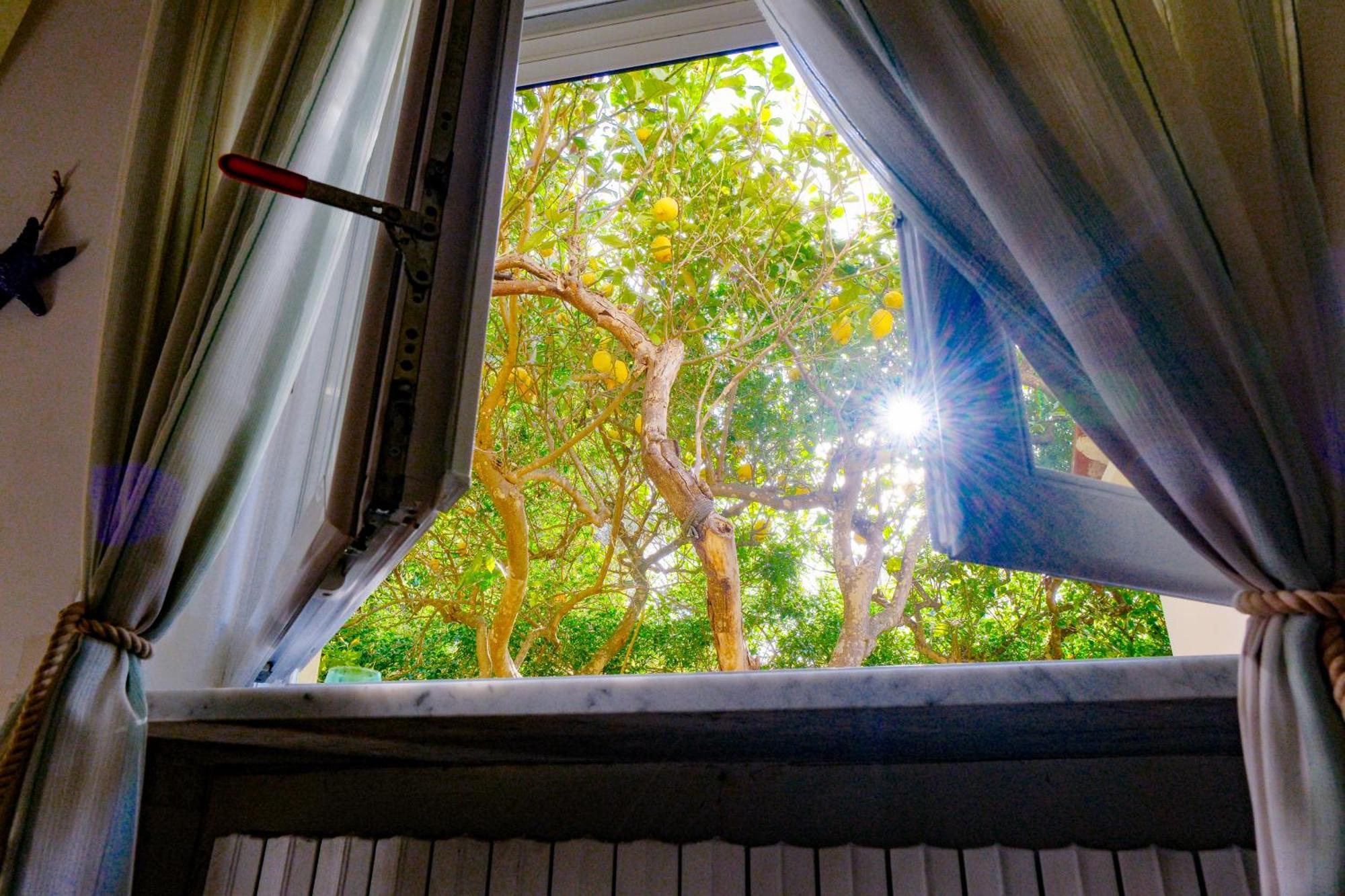 Villa Dorothee กาปรี ภายนอก รูปภาพ