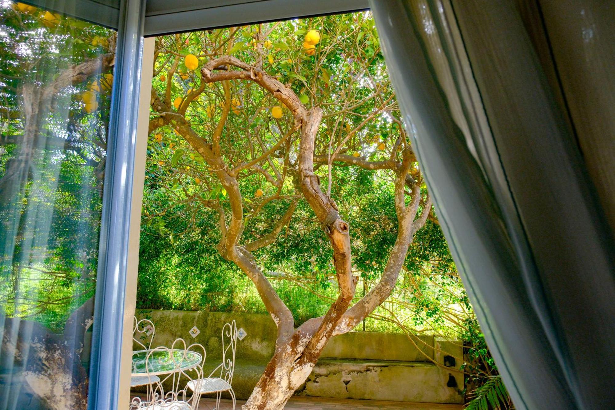 Villa Dorothee กาปรี ภายนอก รูปภาพ